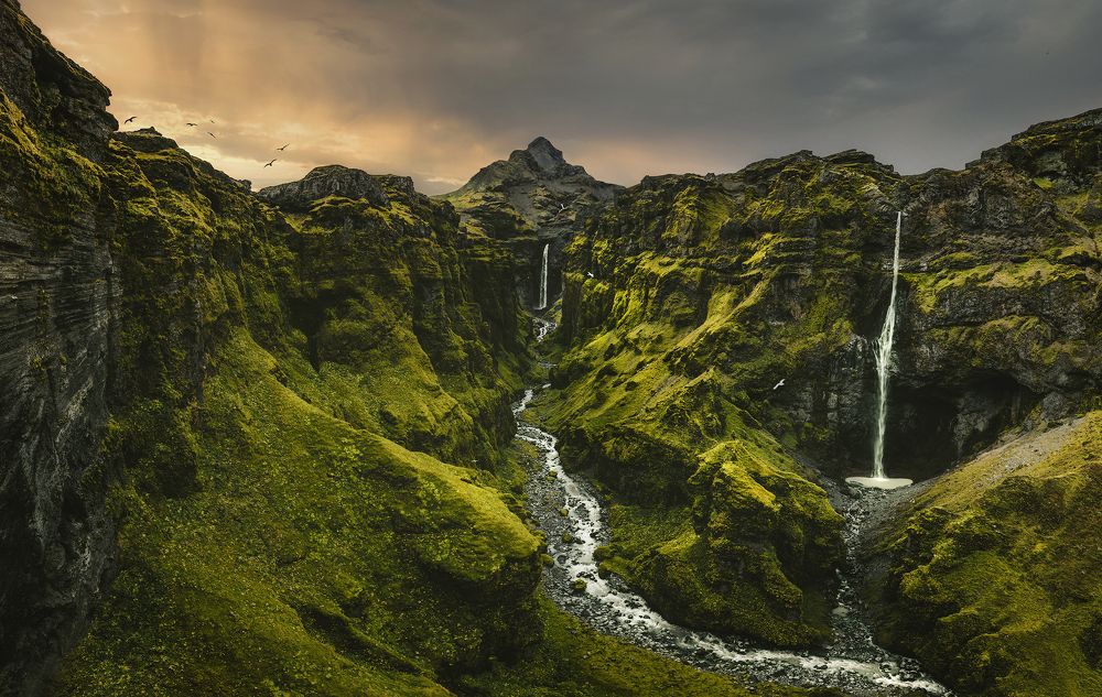 Фотография автора FATIH GONUL