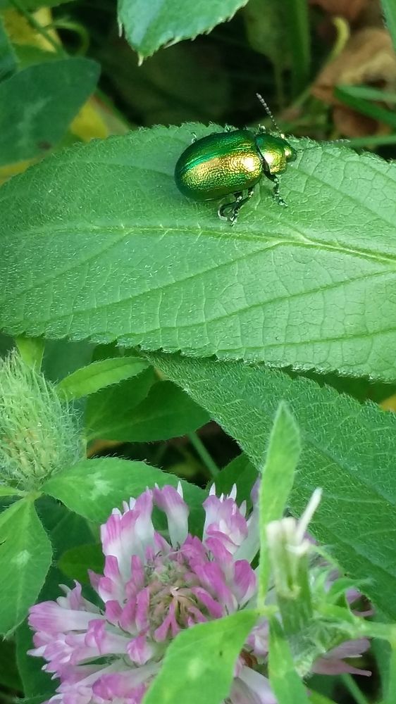 Photograph by Елена Горева