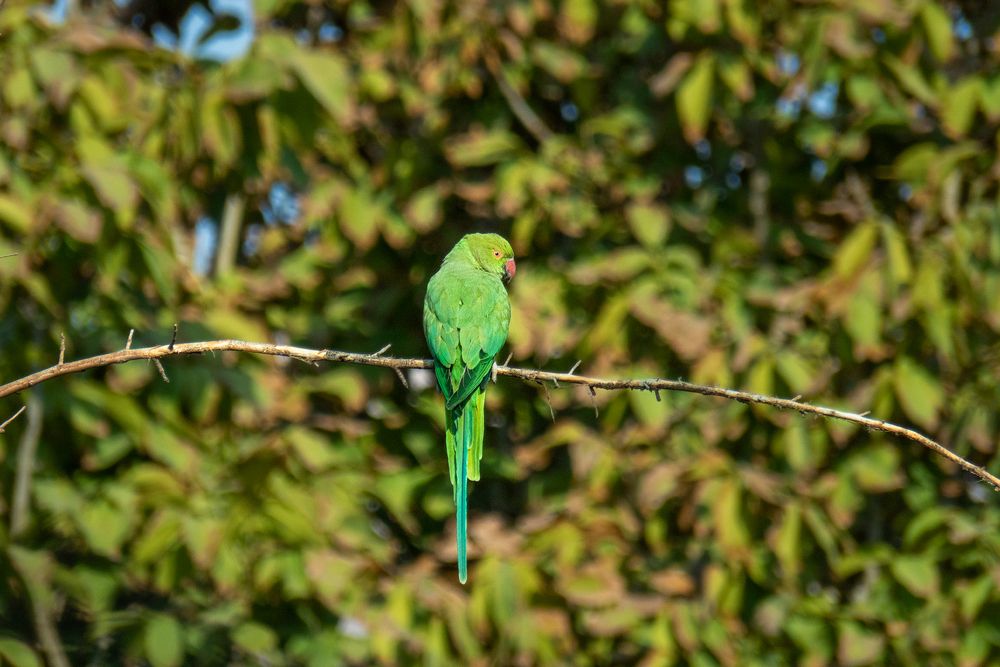 Photograph by sadegh alavi