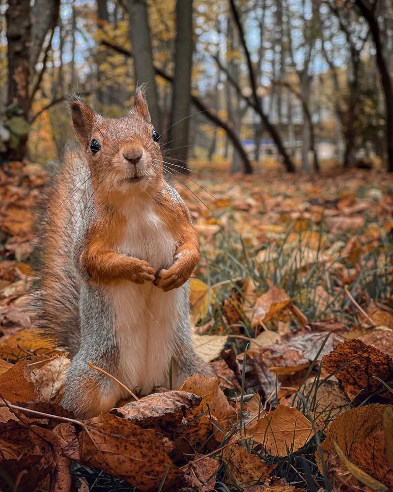 Photograph by Ян Ступкин