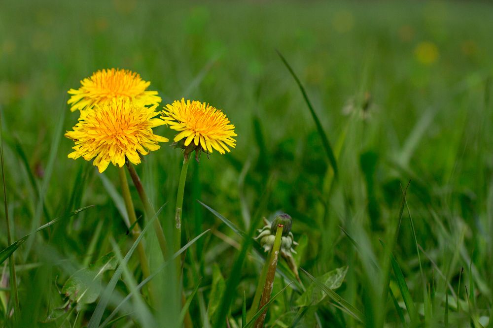 Photograph by Татьяна Семенова