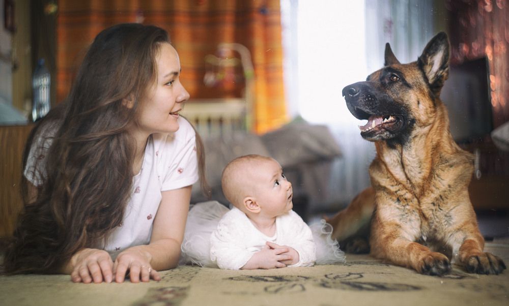 Photograph by ЕВГЕНИЙ СКАЛОЗУБОВ