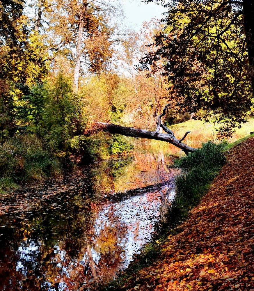 Photograph by Raitis Miksons