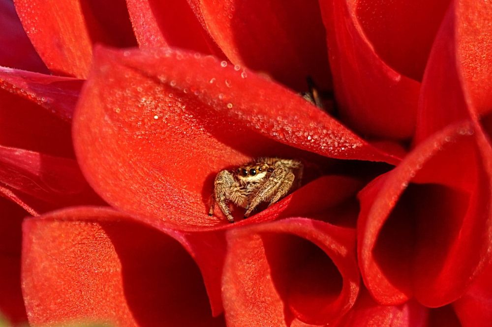 Photograph by Галина Кан