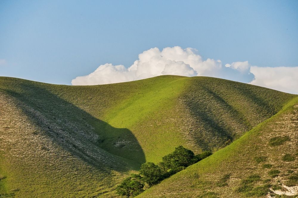 Photograph by Мария Кобыльченко