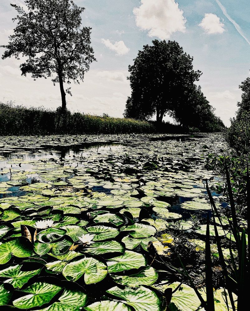 Photograph by Svetlana Kornilova