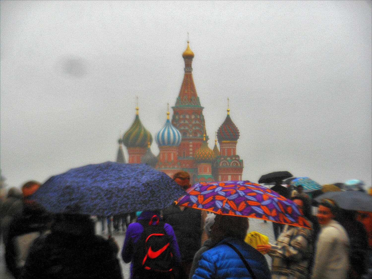 Photo #8150575