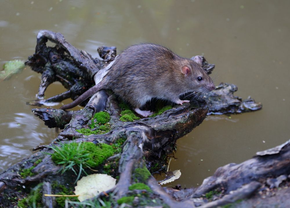 Photograph by Станислав Вершинин