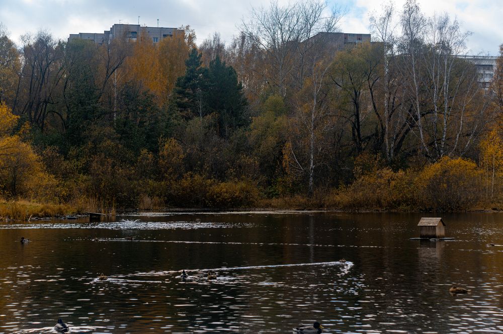 Photograph by Светлана Нестерова