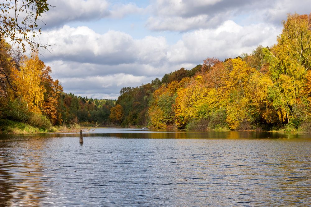 Photograph by Валерий Петухов
