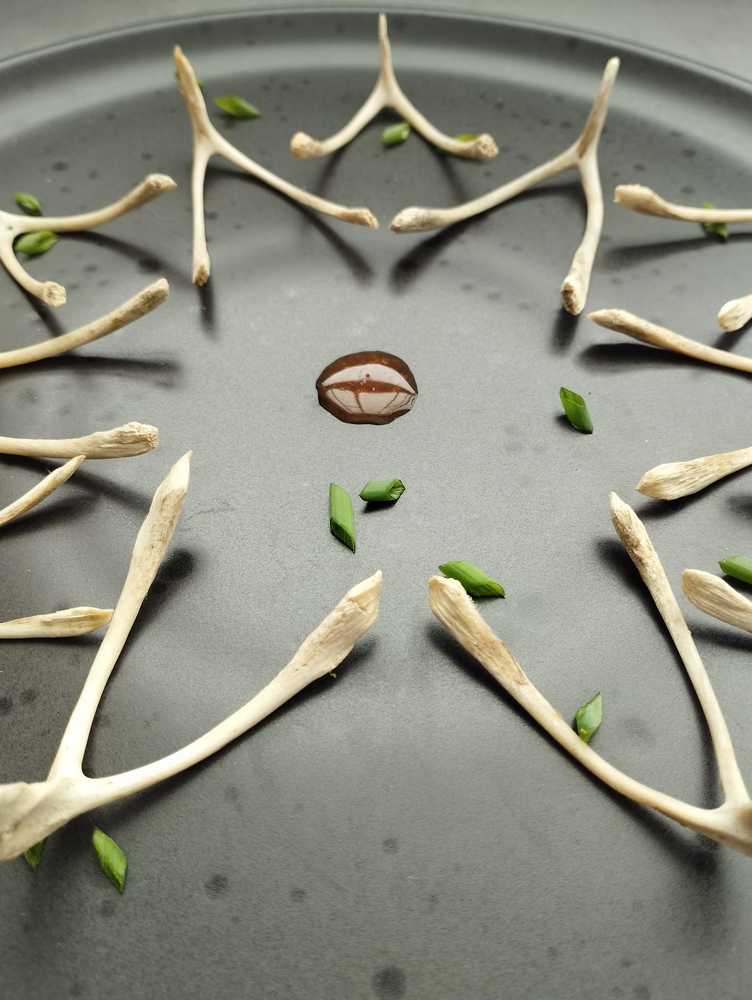 Photograph by OvO Virado