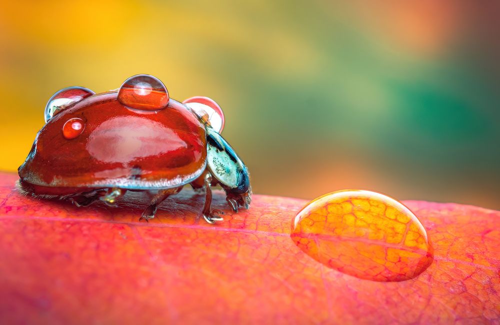 Photograph by Парфентьев Антон