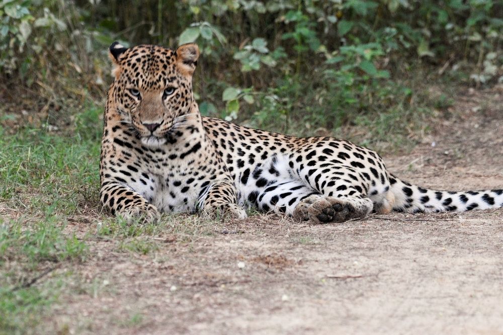 Photograph by Neelimaa Ripote