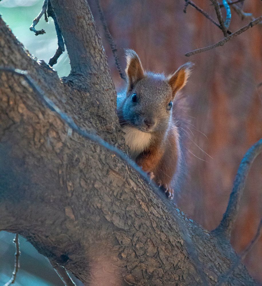 Photograph by Вадим Юрьевич