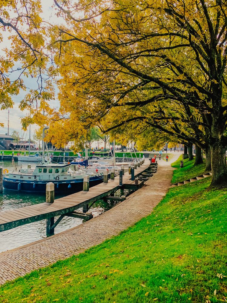 Photograph by Irina Chekanov