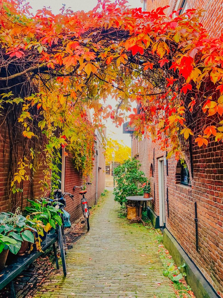 Photograph by Irina Chekanov