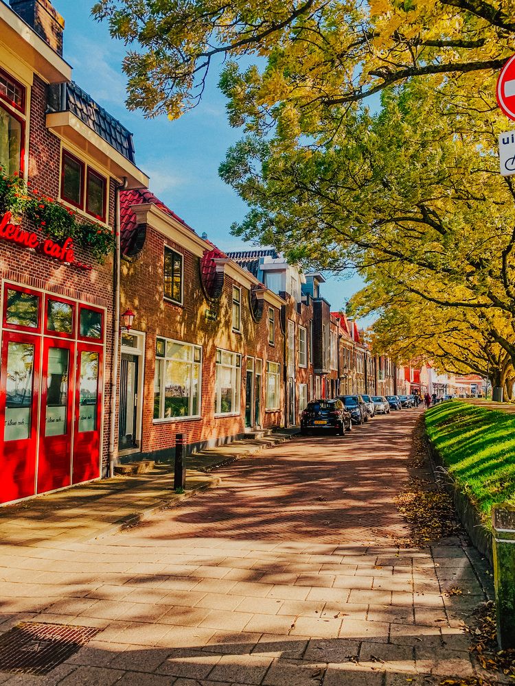 Photograph by Irina Chekanov