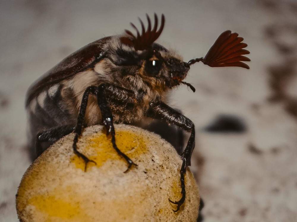 Photograph by Анжелика Трошина