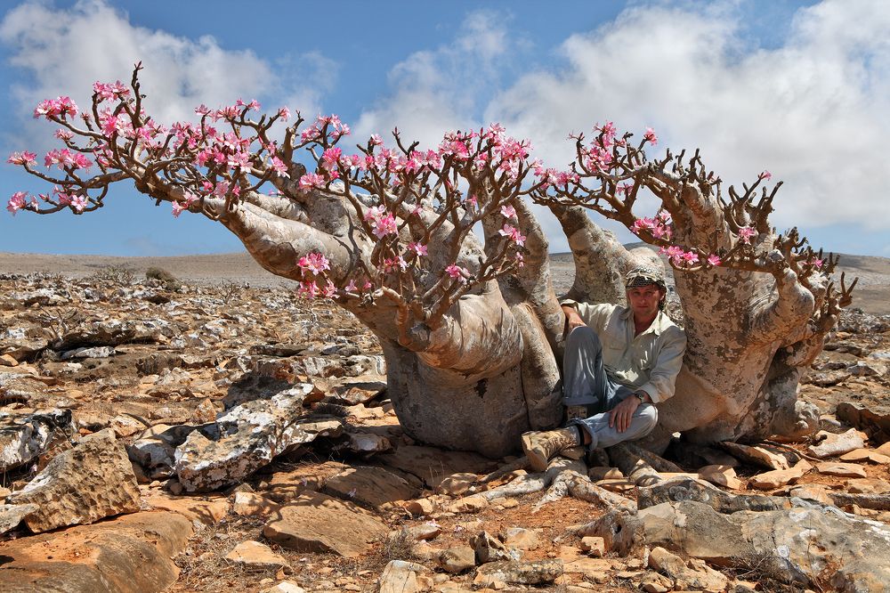 Photograph by Vladimir Melnik