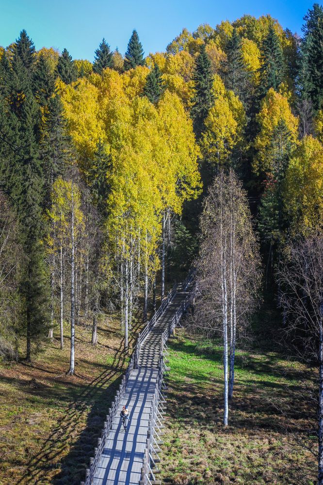 Photograph by Yulia Kryukova