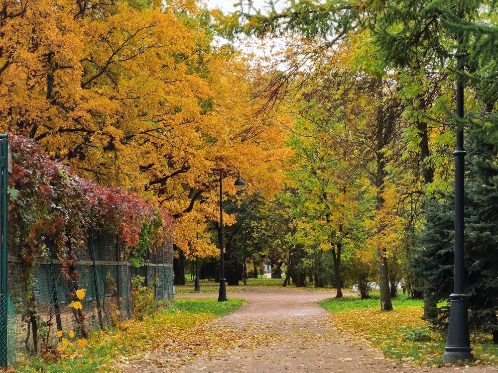 Осенний пейзаж