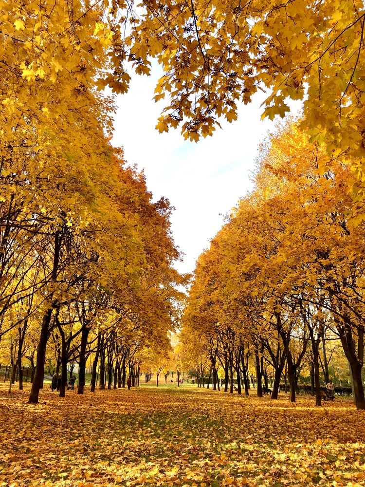 Photograph by Наталья Угрюмова