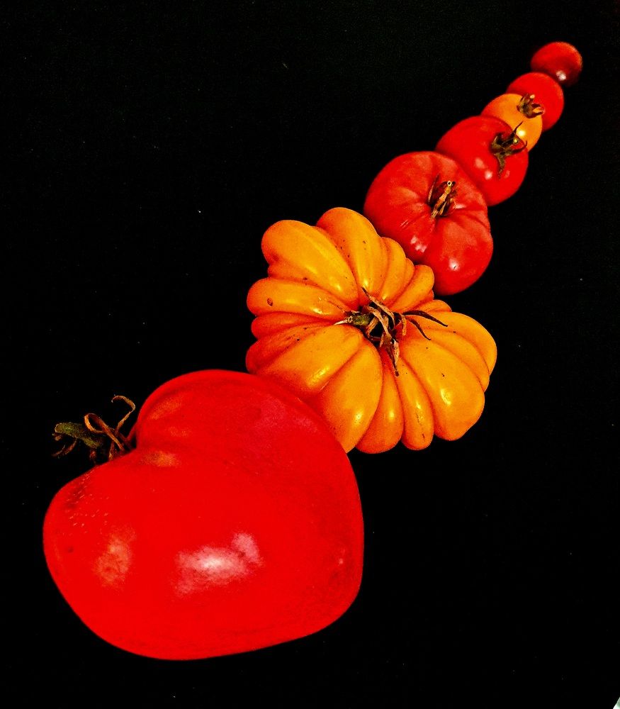 Photograph by Ева К