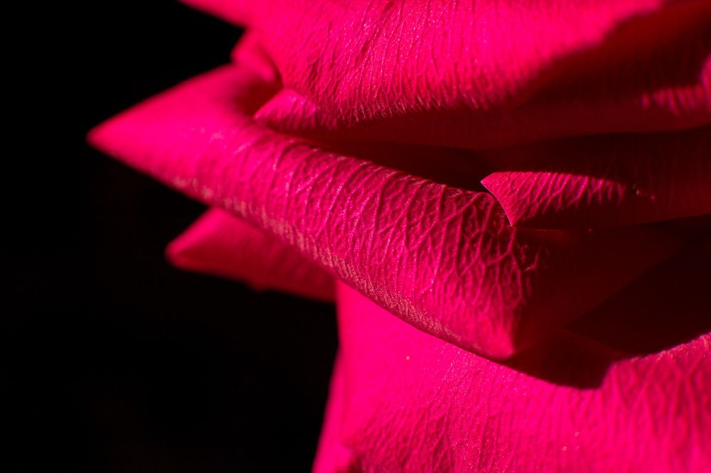 Photograph by Наталья Угрюмова