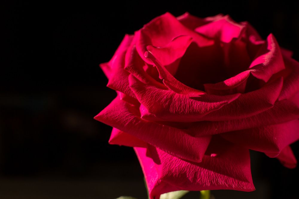 Photograph by Наталья Угрюмова