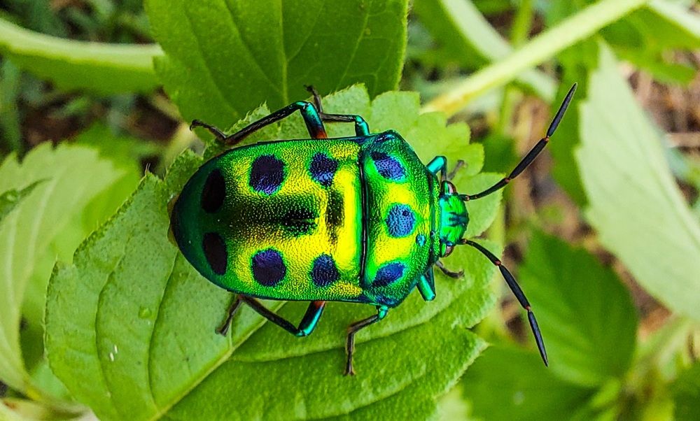 Photograph by Mathew Nishanth A