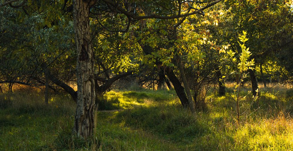Photograph by Станислав Кунецкий