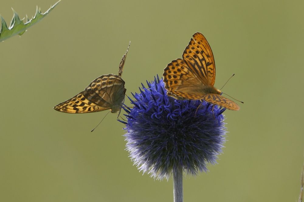 Photograph by Алексей Миронов