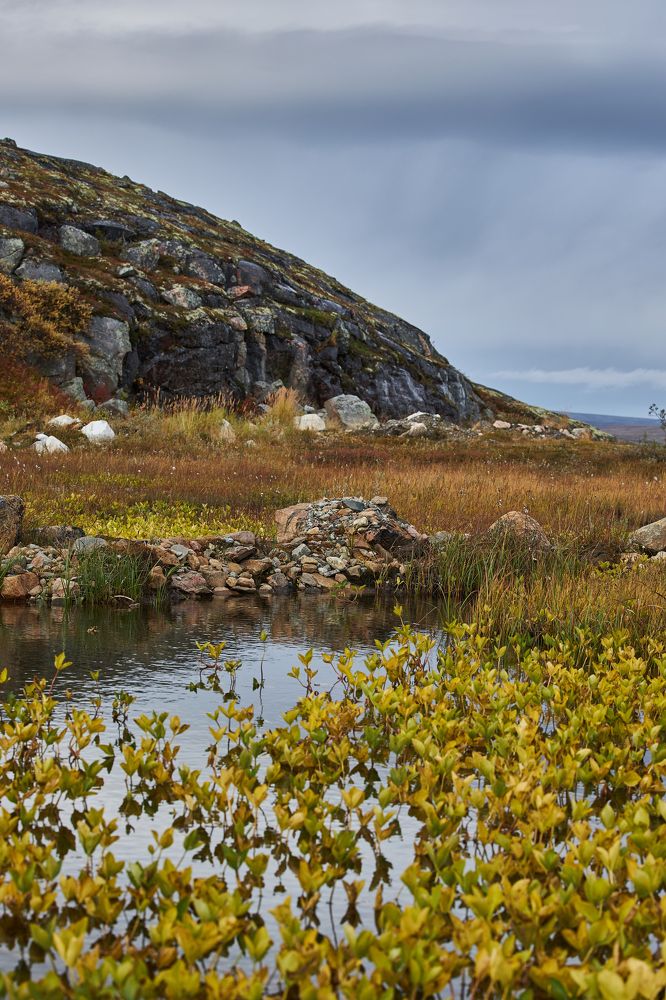 Photograph by Екатерина Абраменко