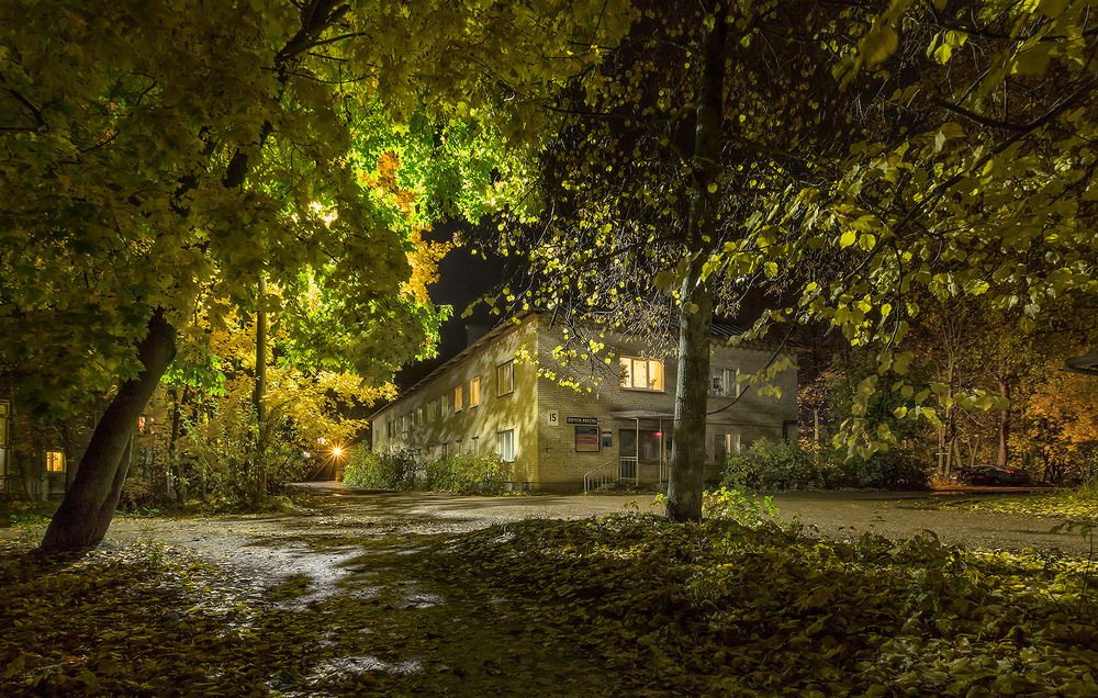 Photograph by Николай Андреев