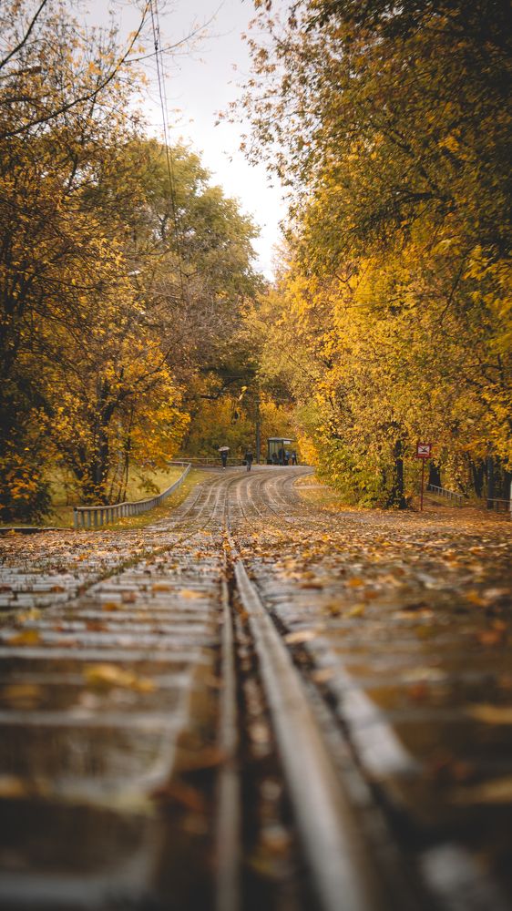 Photograph by Ильдус Шаруков