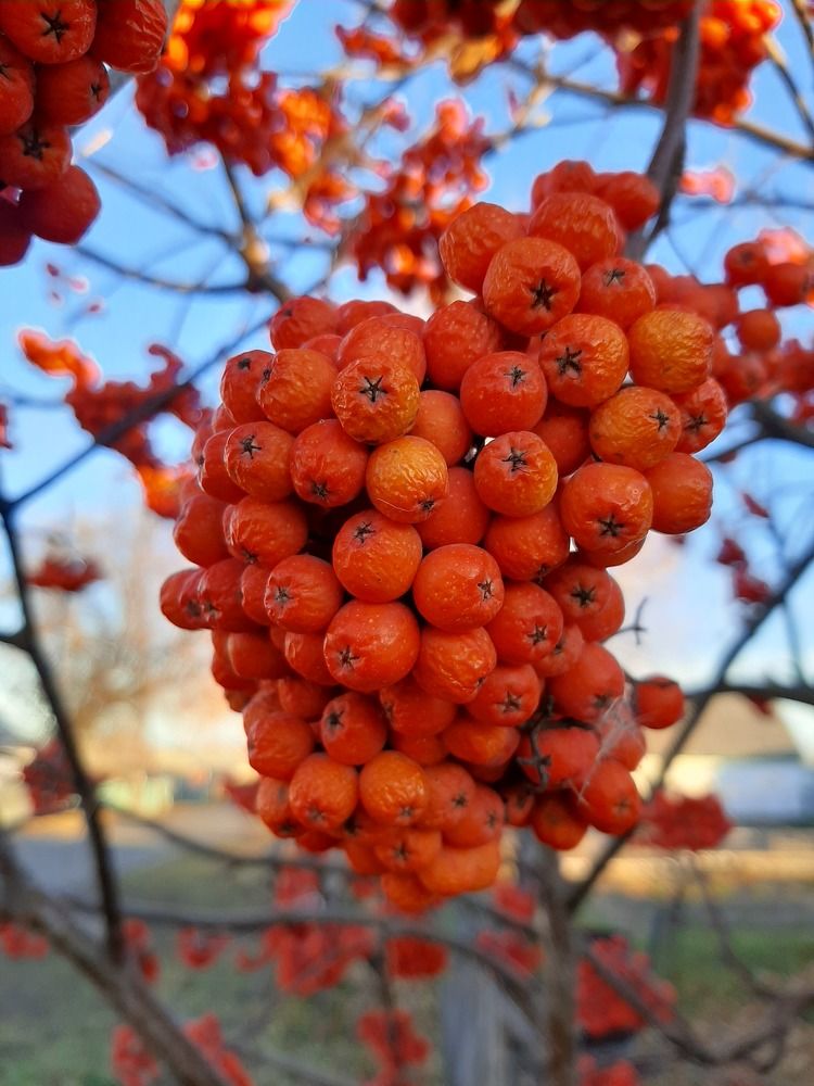 Photograph by Ольга Харламова