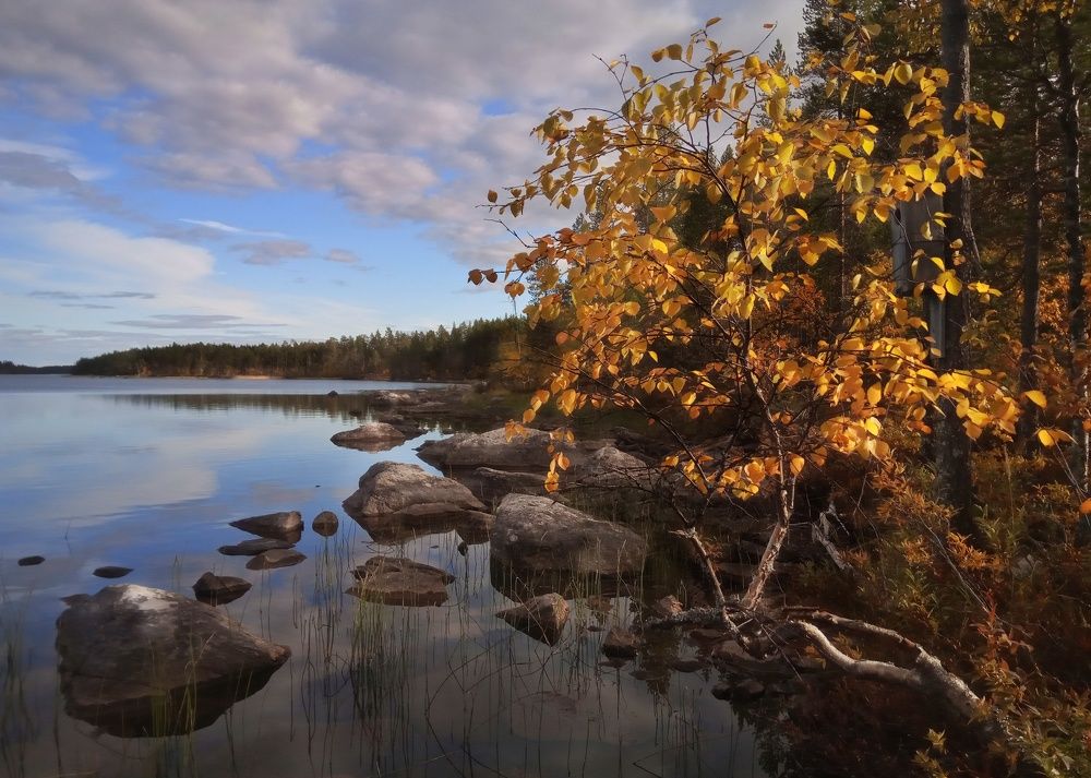 Луч солнца золотого