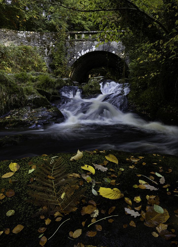 Photograph by Bogdan Pasca