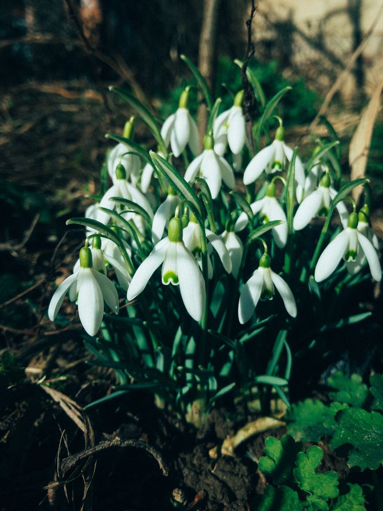 Photograph by Мария Д