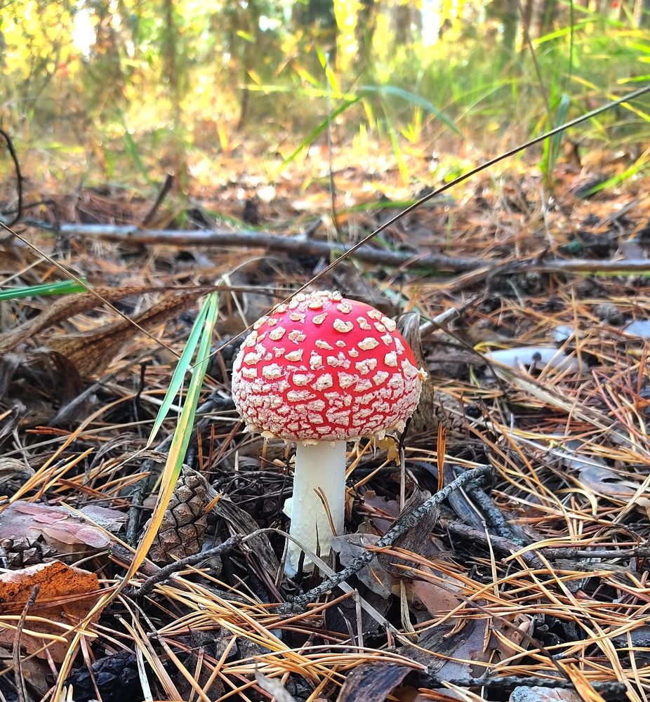 Photograph by Анна Березина