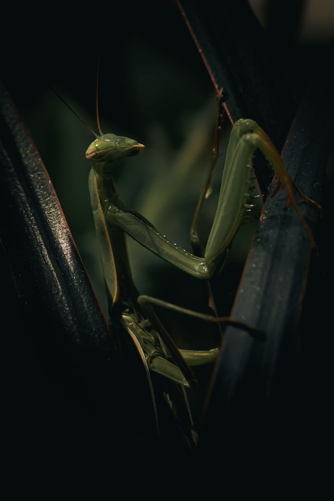 Photograph by Алексей Козлов