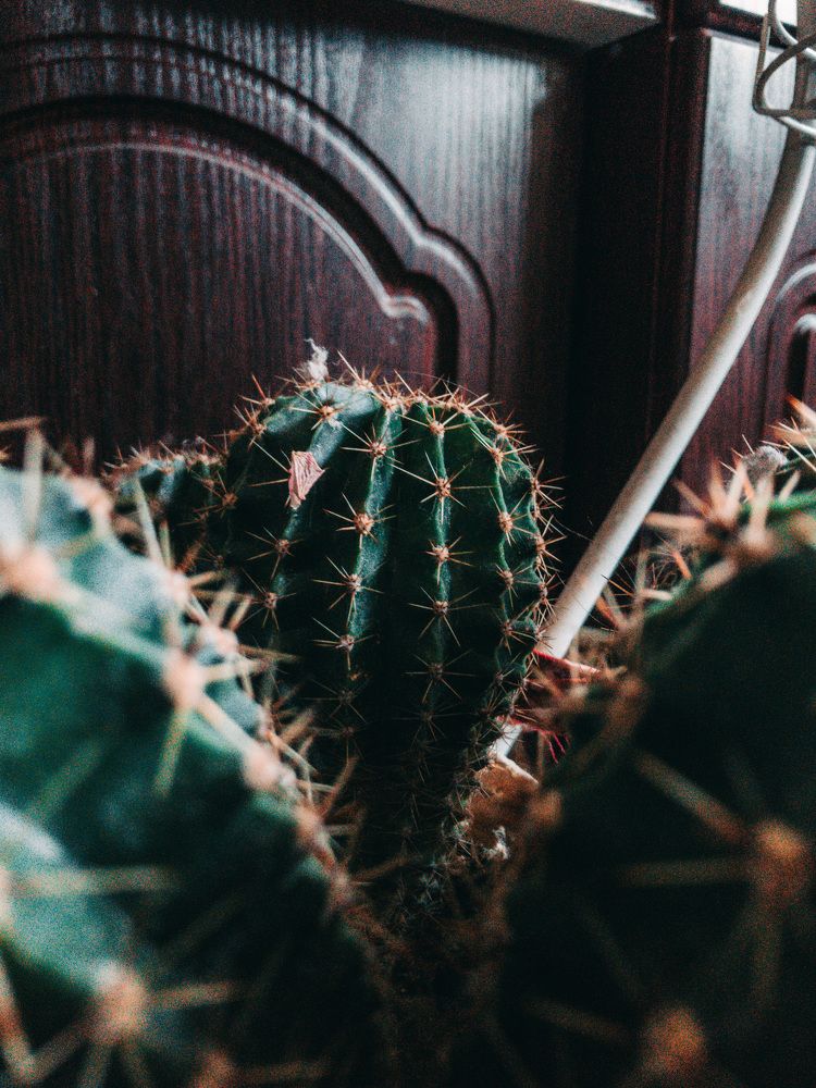 Photograph by Мария Д