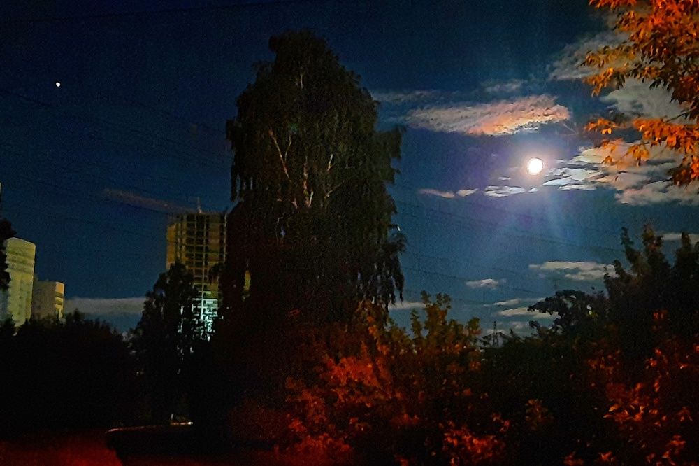 Photograph by Елена Жданова