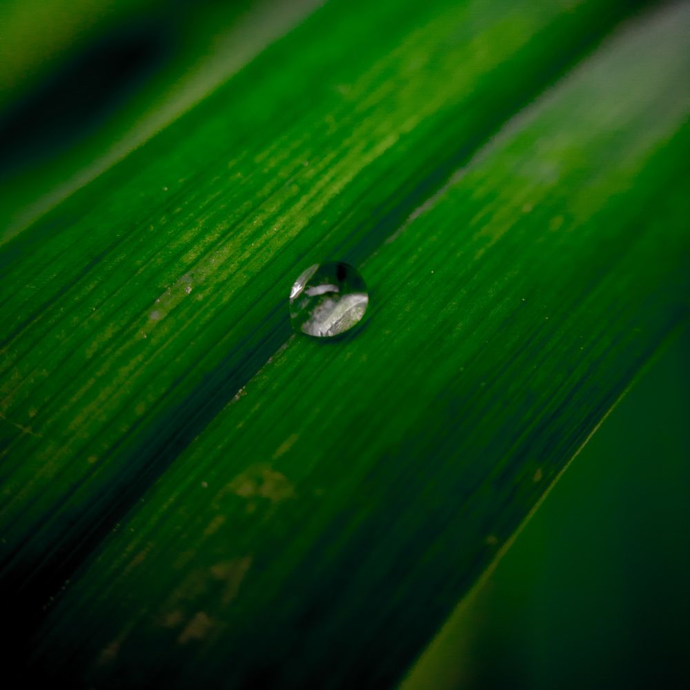 Photograph by Мария Д