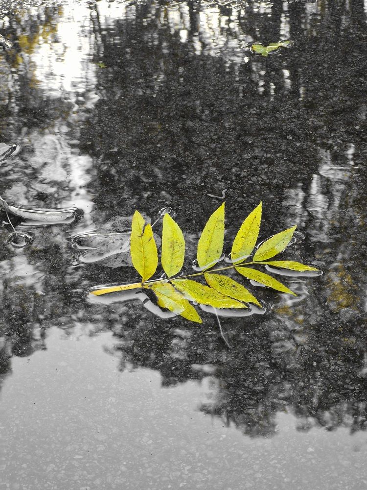 Photograph by Nuri Farawi