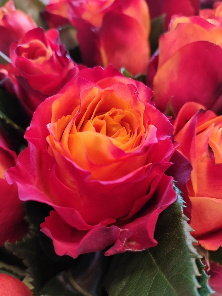 Photograph by Елена Горева