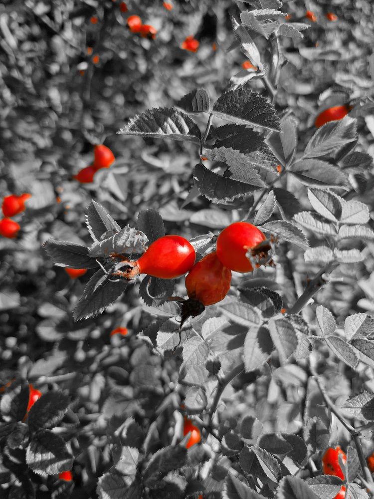 Photograph by Nuri Farawi