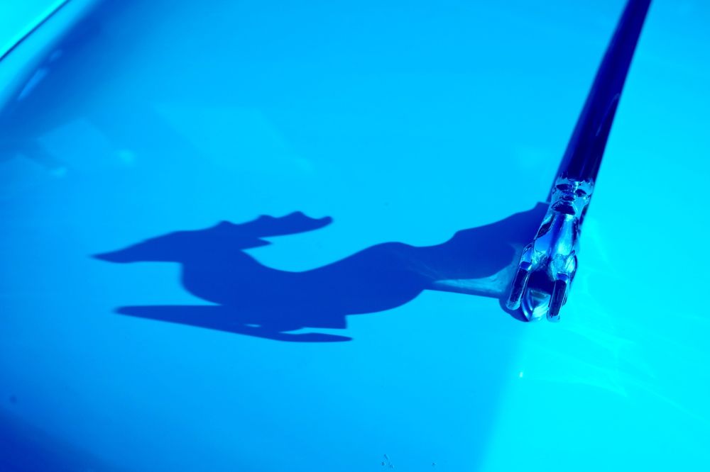 Photograph by Андрей Михайлин