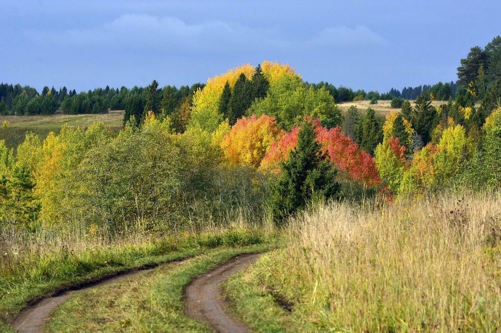 Фотография автора Рафаиль Садыков