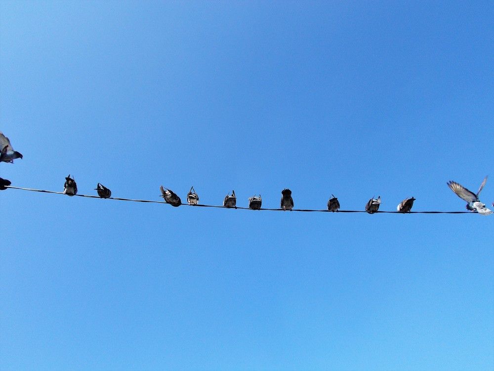 Photograph by José Luis Mendoza Machado